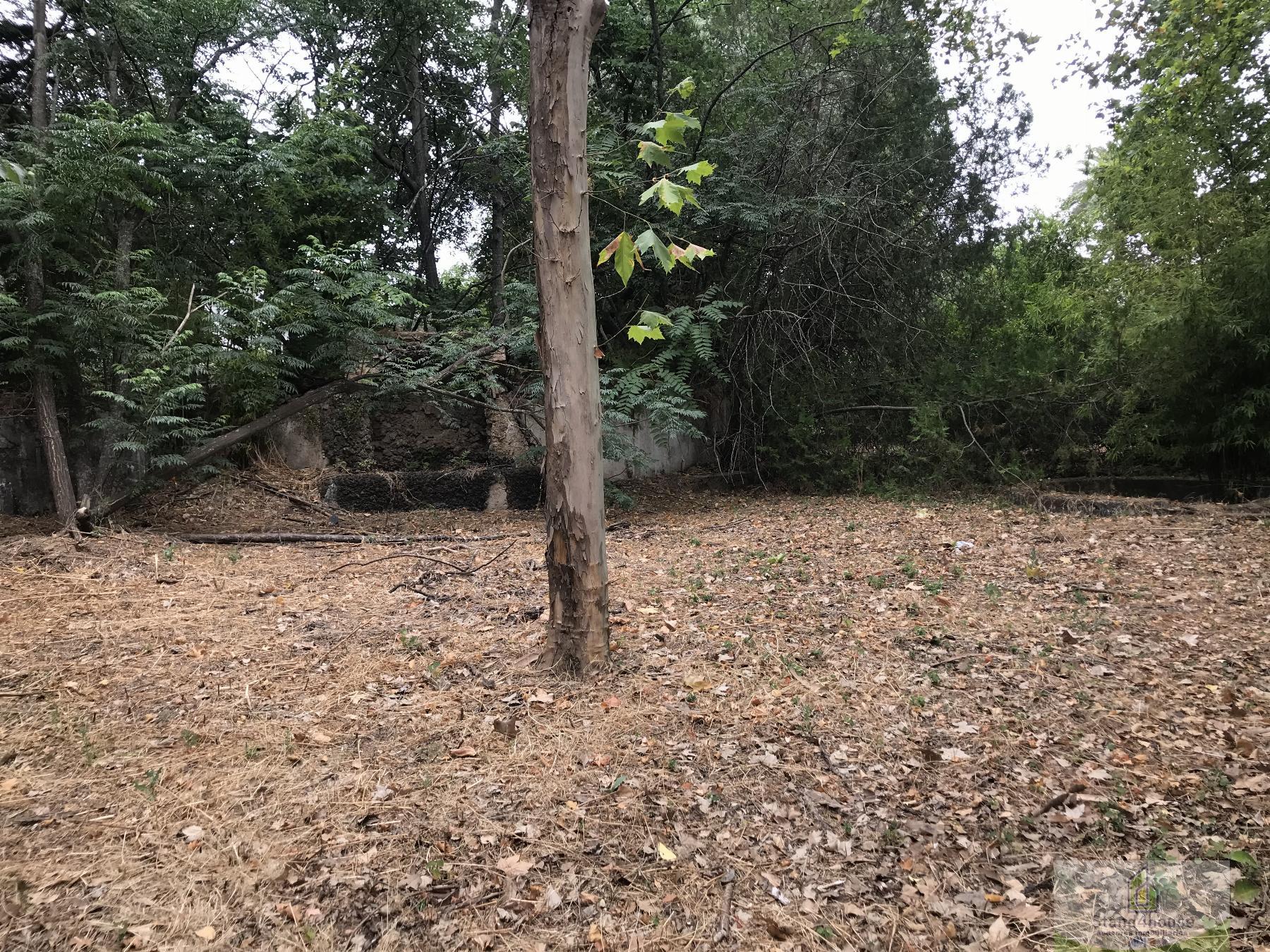 Ground