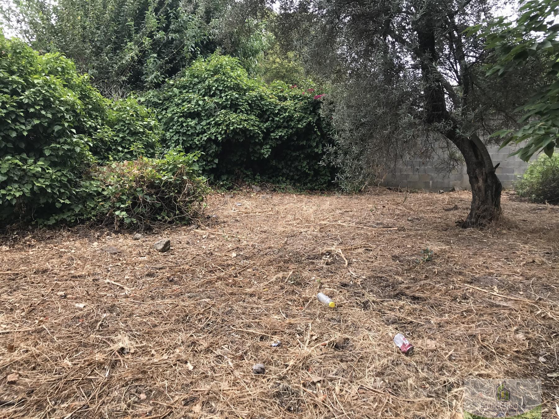 Ground