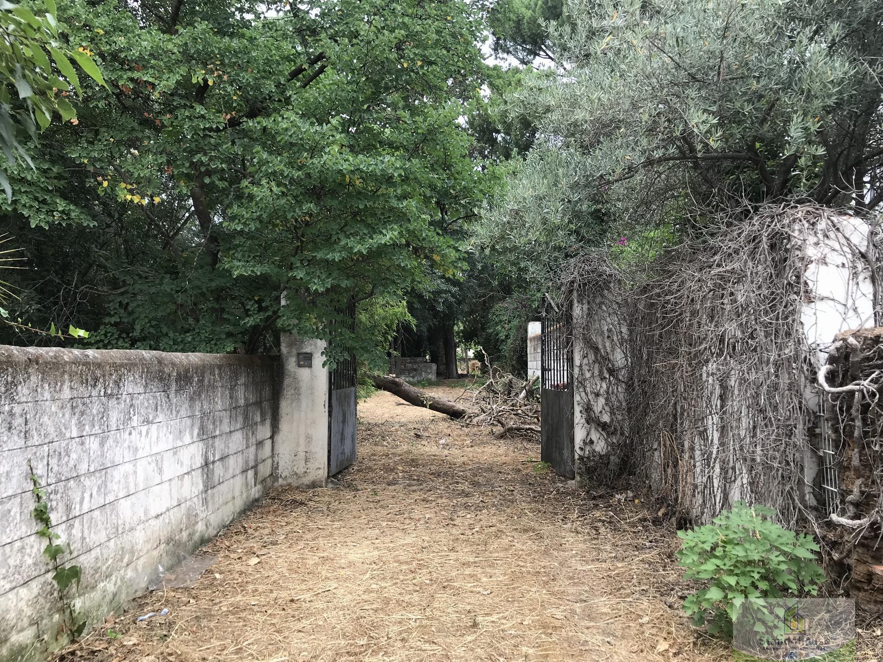 Entry/Exit