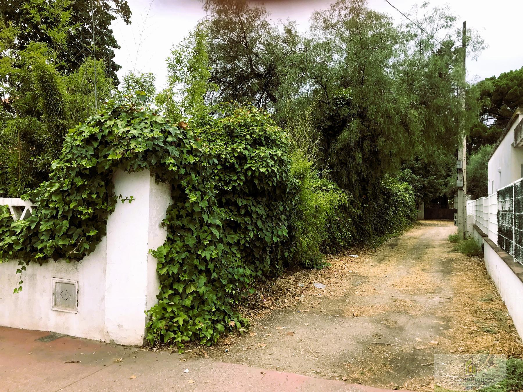 Entry/Exit