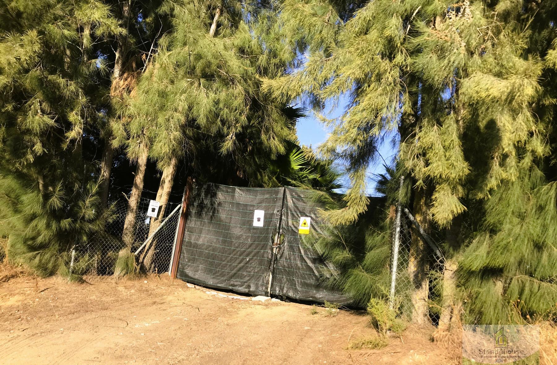 Entry/Exit