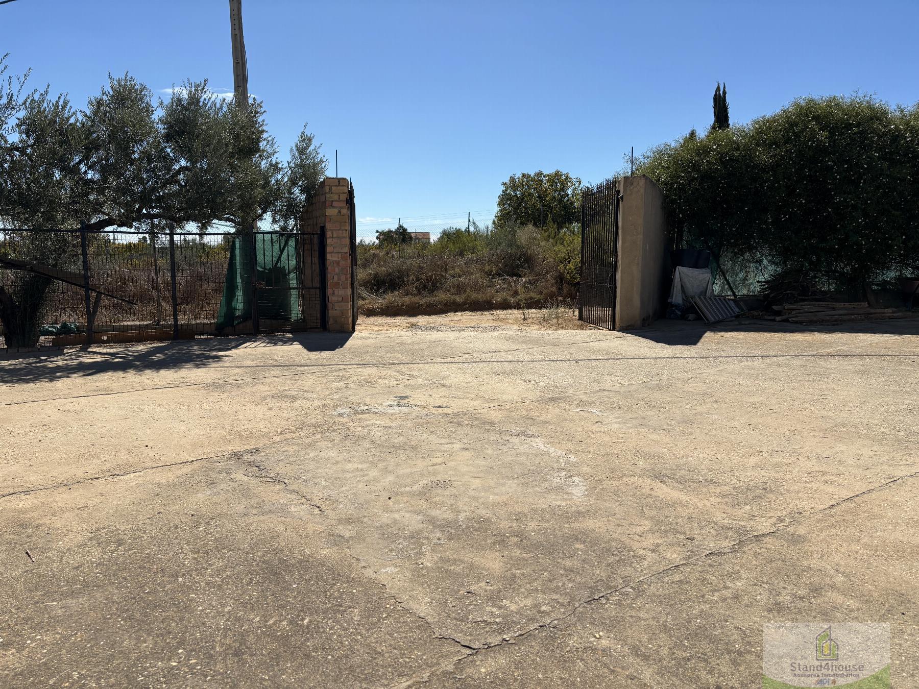 Ground