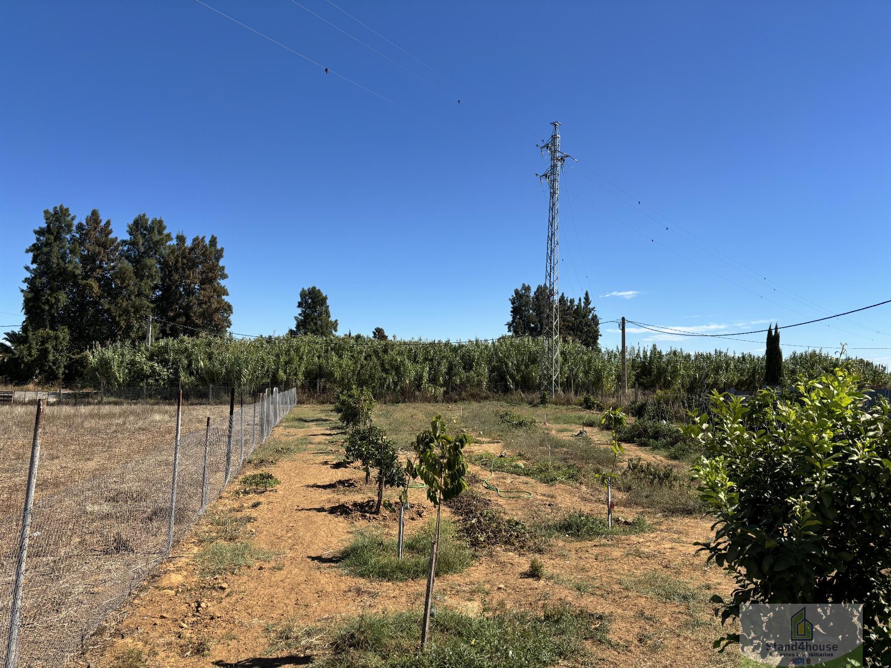 Ground