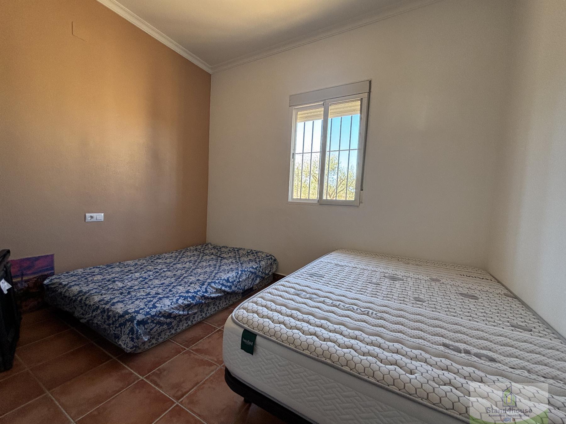 For sale of rural property in La Palma del Condado
