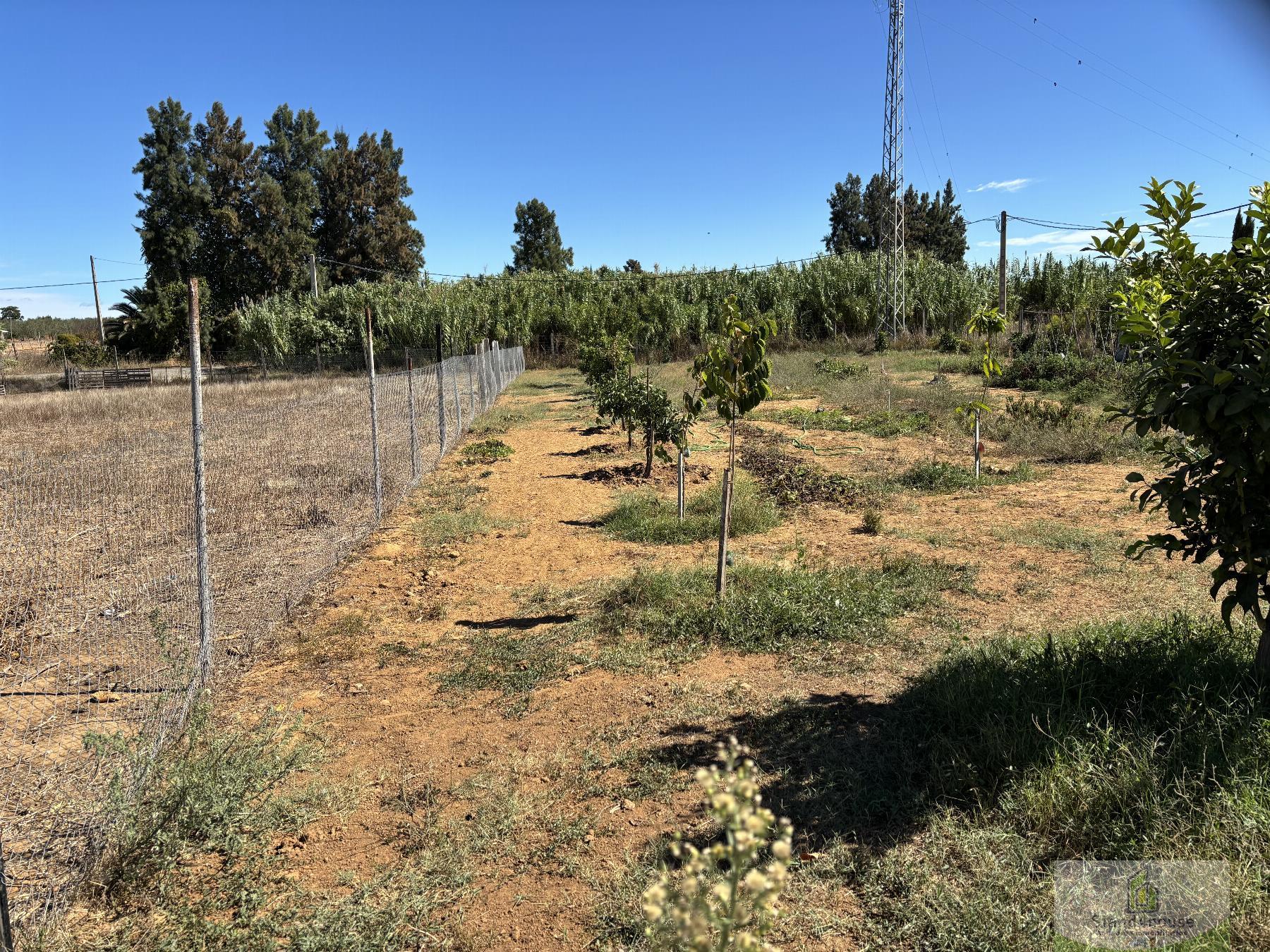 Ground