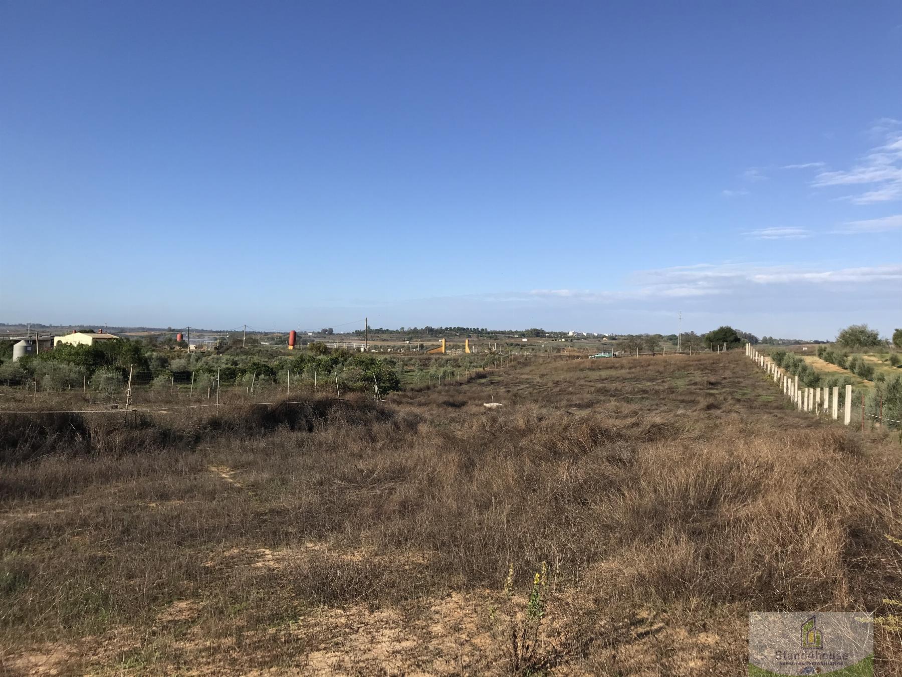 Land