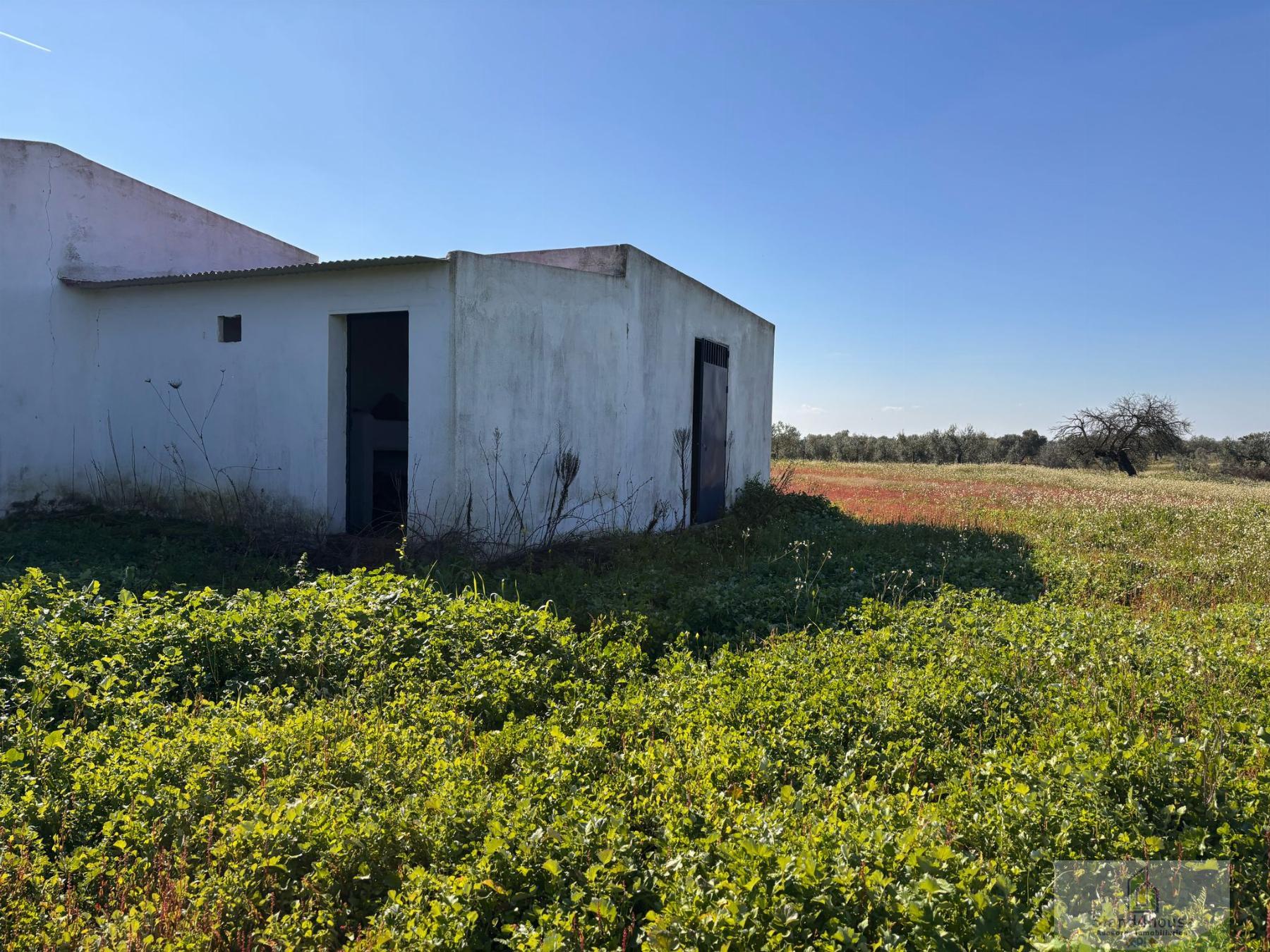 Façana