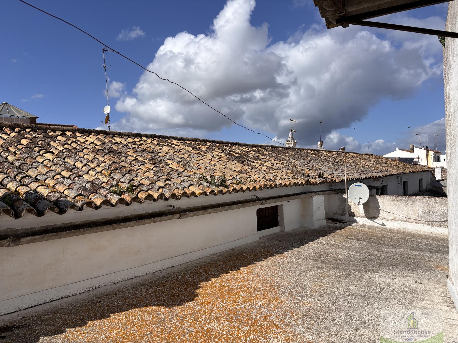 Terrazzo