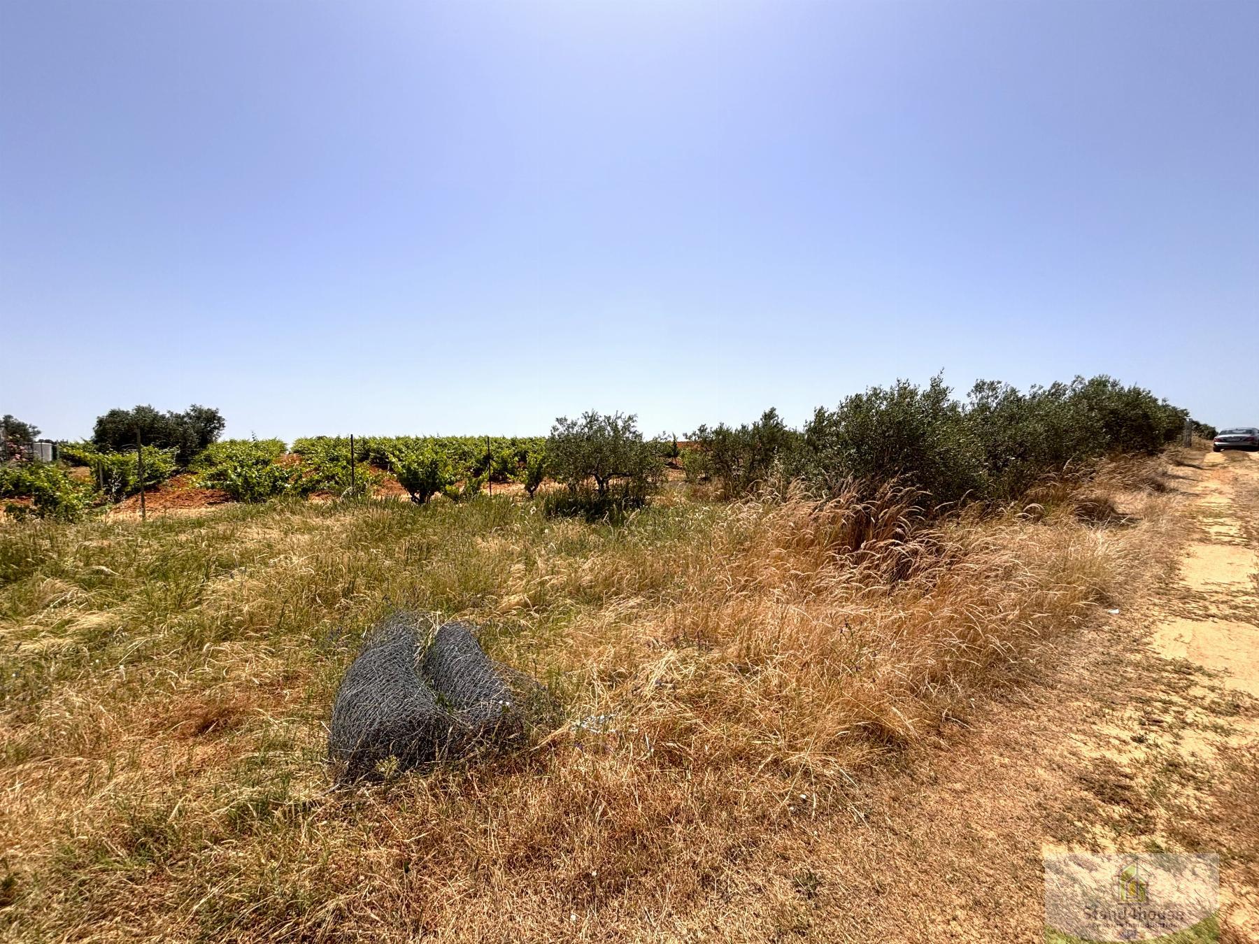 Ground