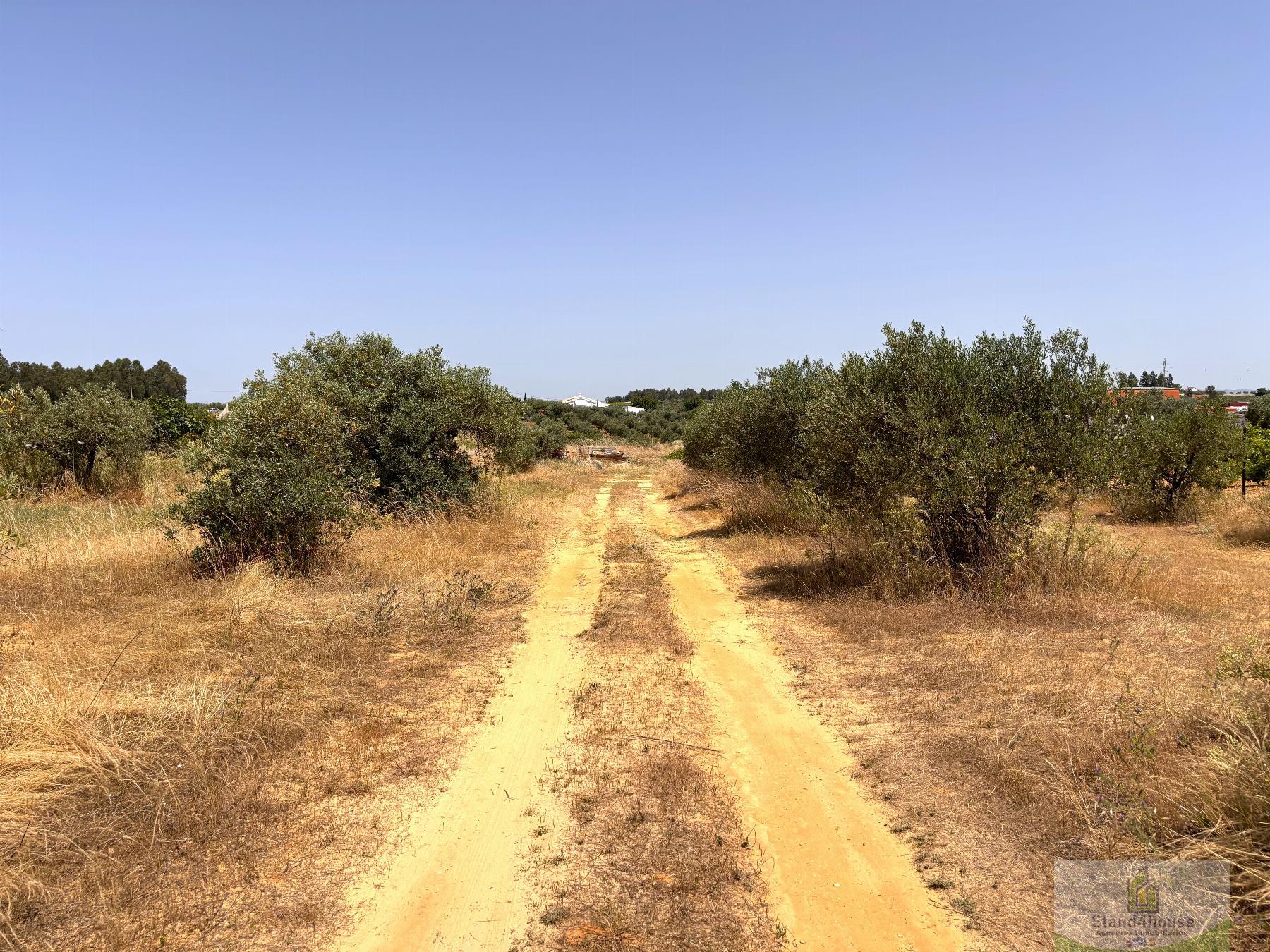 Surroundings