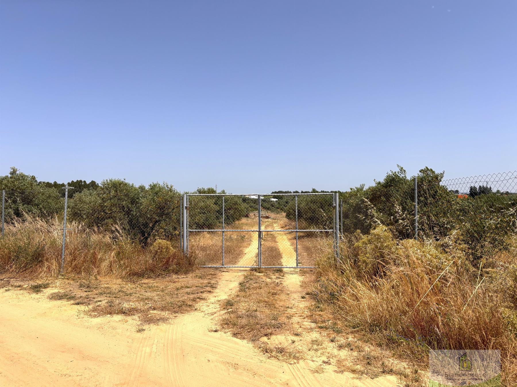 Surroundings