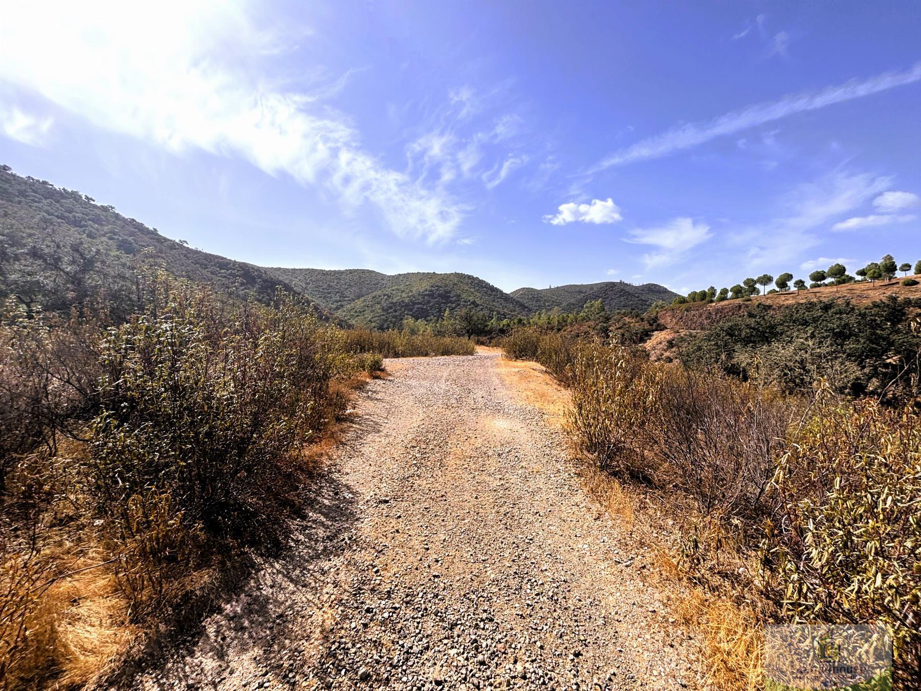 Entrada/Salida