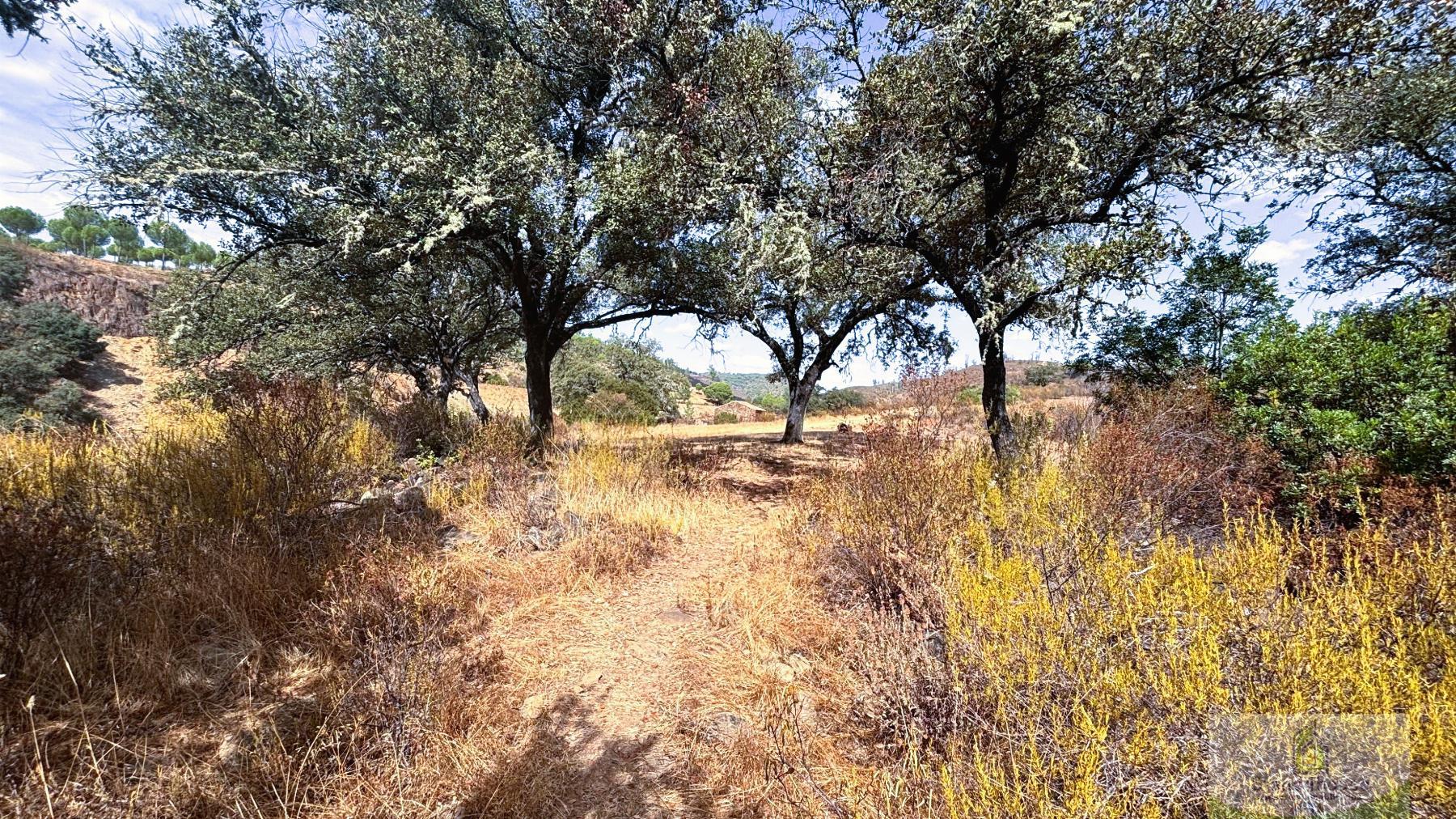 Terreno