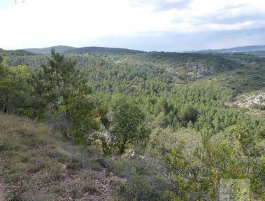 Surroundings