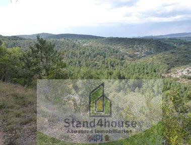 Surroundings