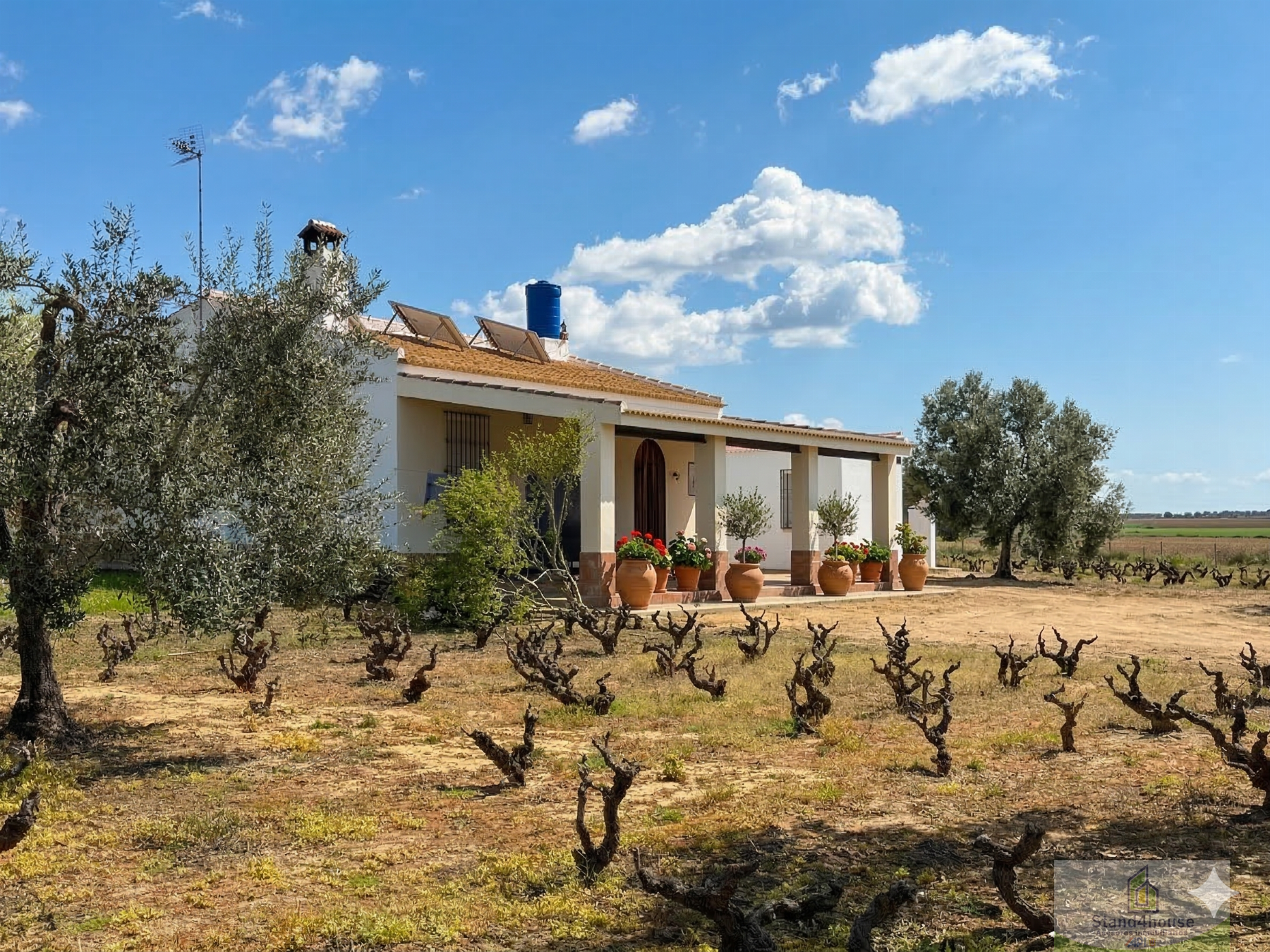 Venta de finca rústica en Villalba del Alcor