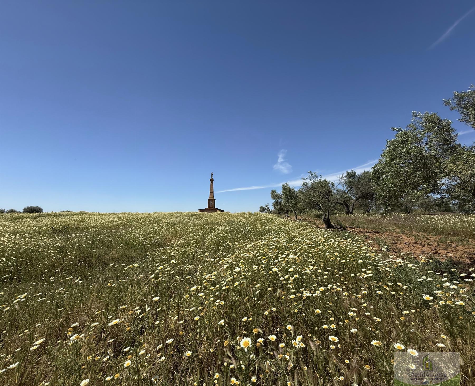 Surroundings