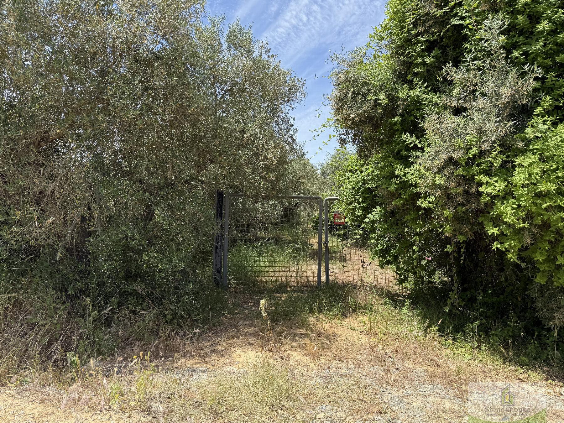 Entrada/Salida
