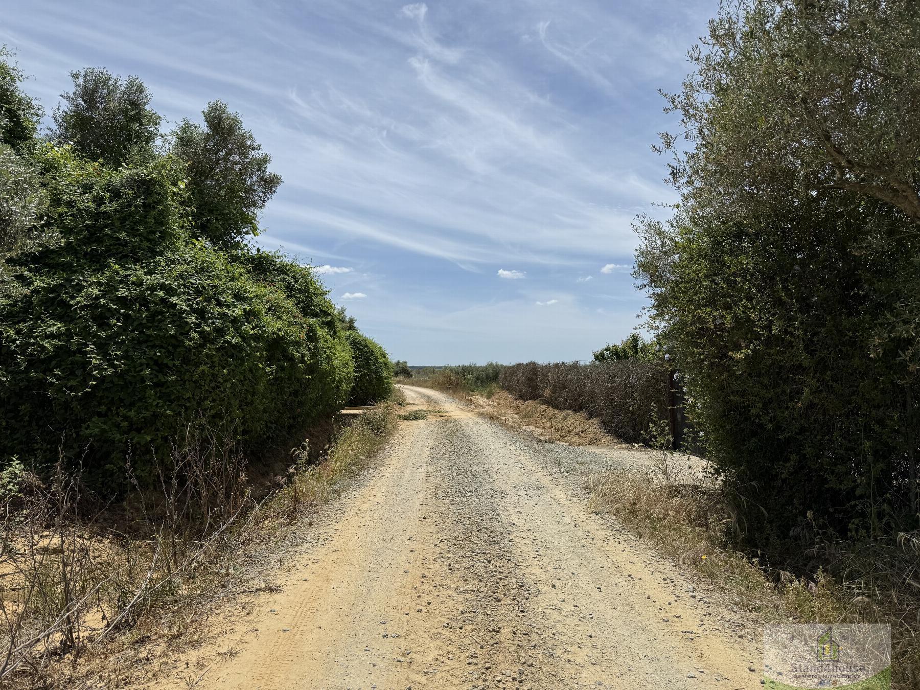 Alrededores