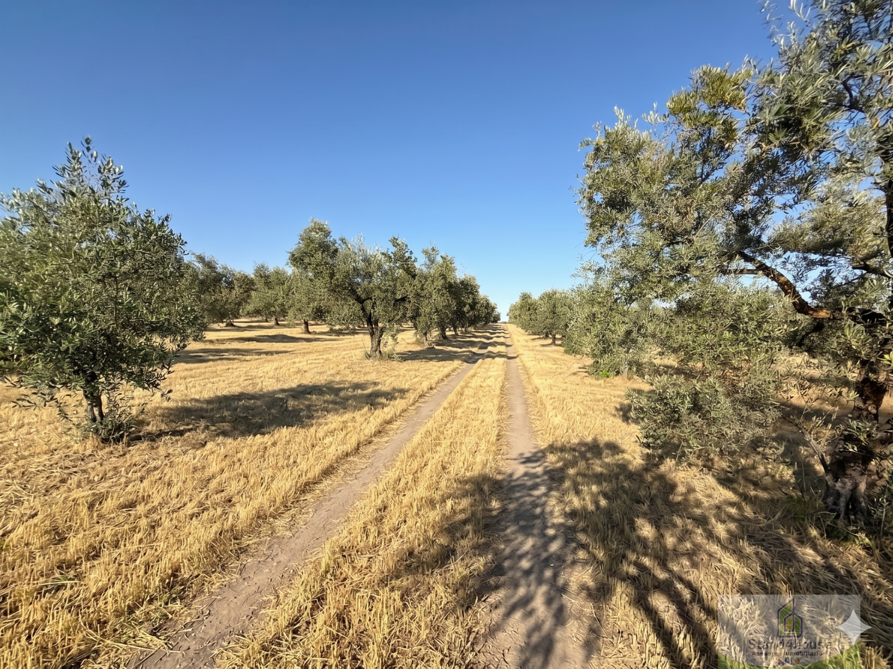 Entrada/Salida