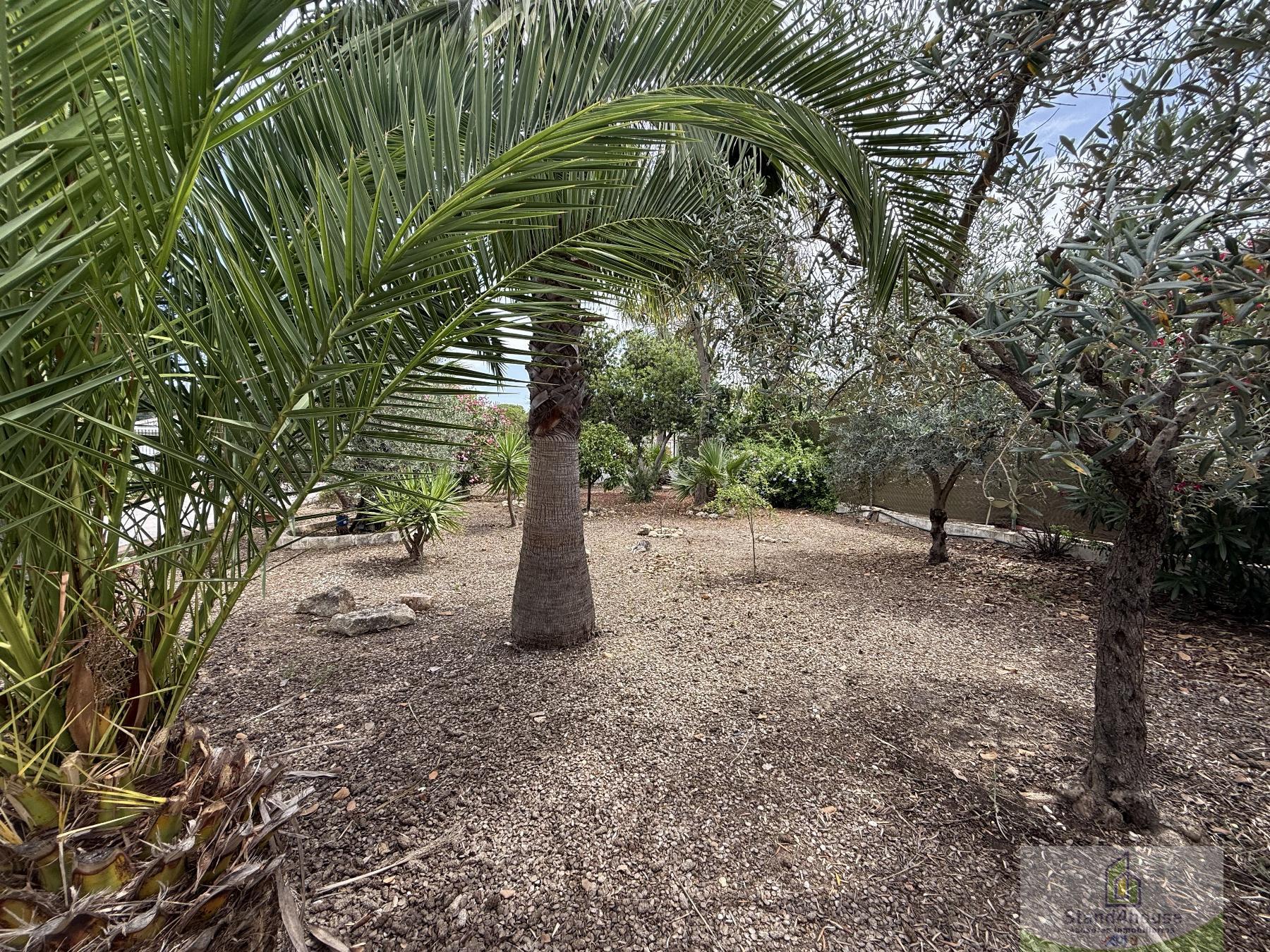 Jardín