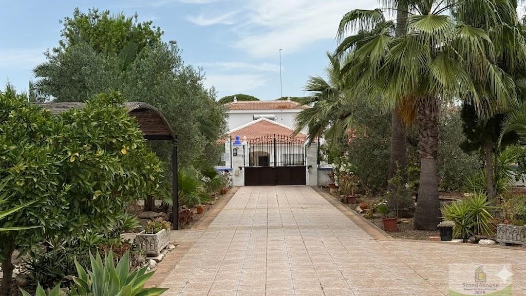 Entrada/Salida