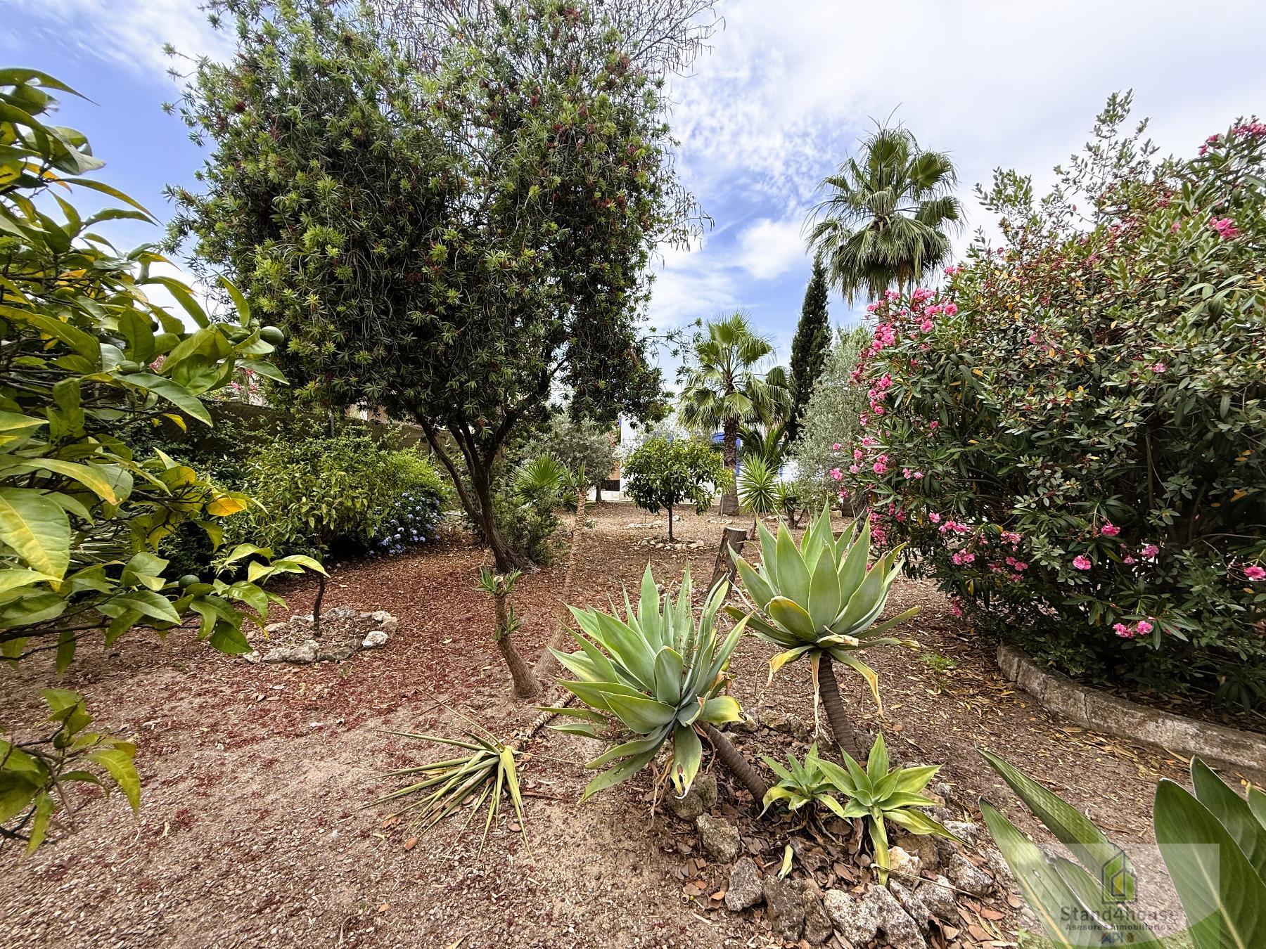 Jardín