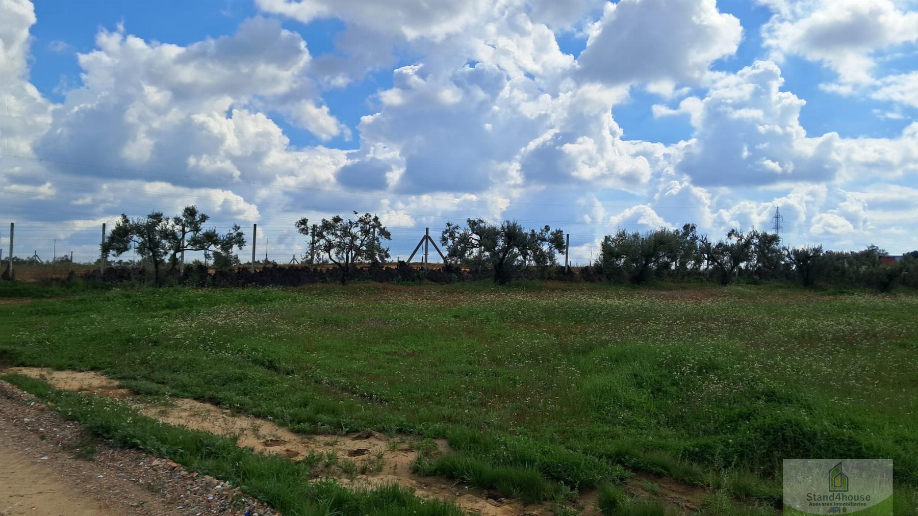 Terreno