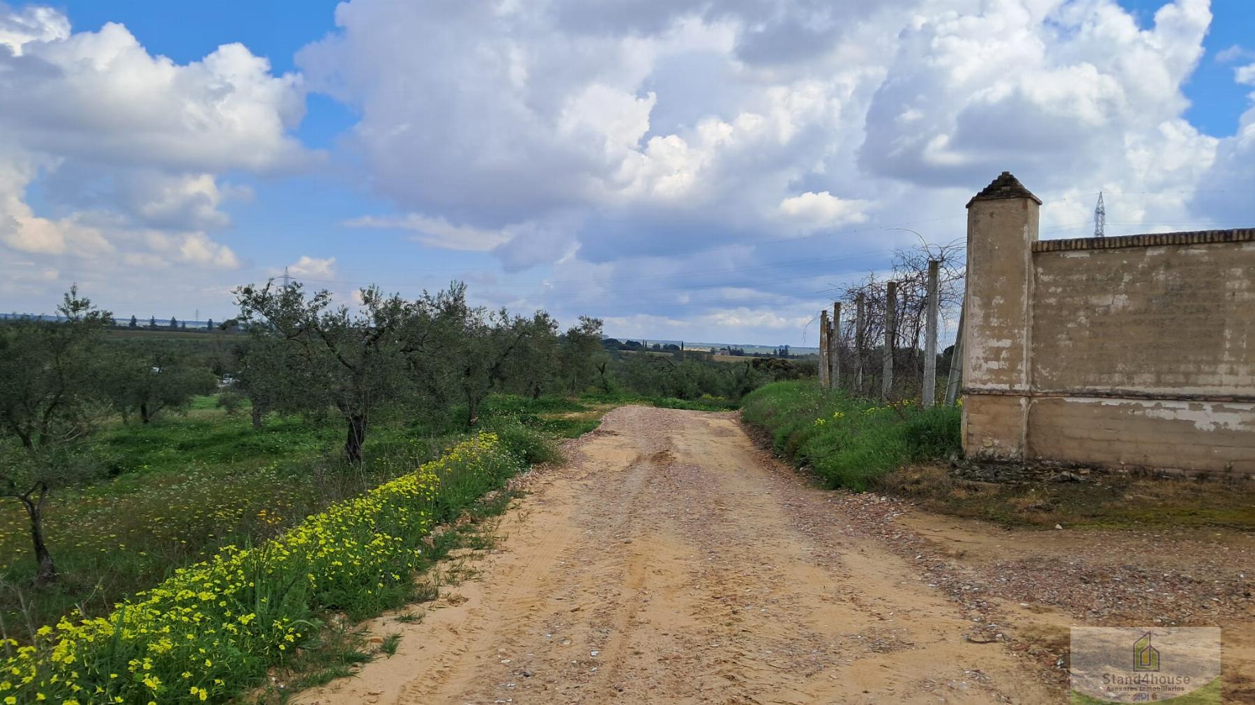 Alrededores