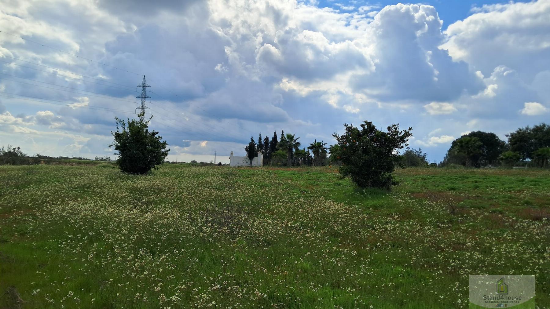 Terreno