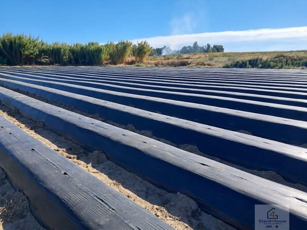 Terreno