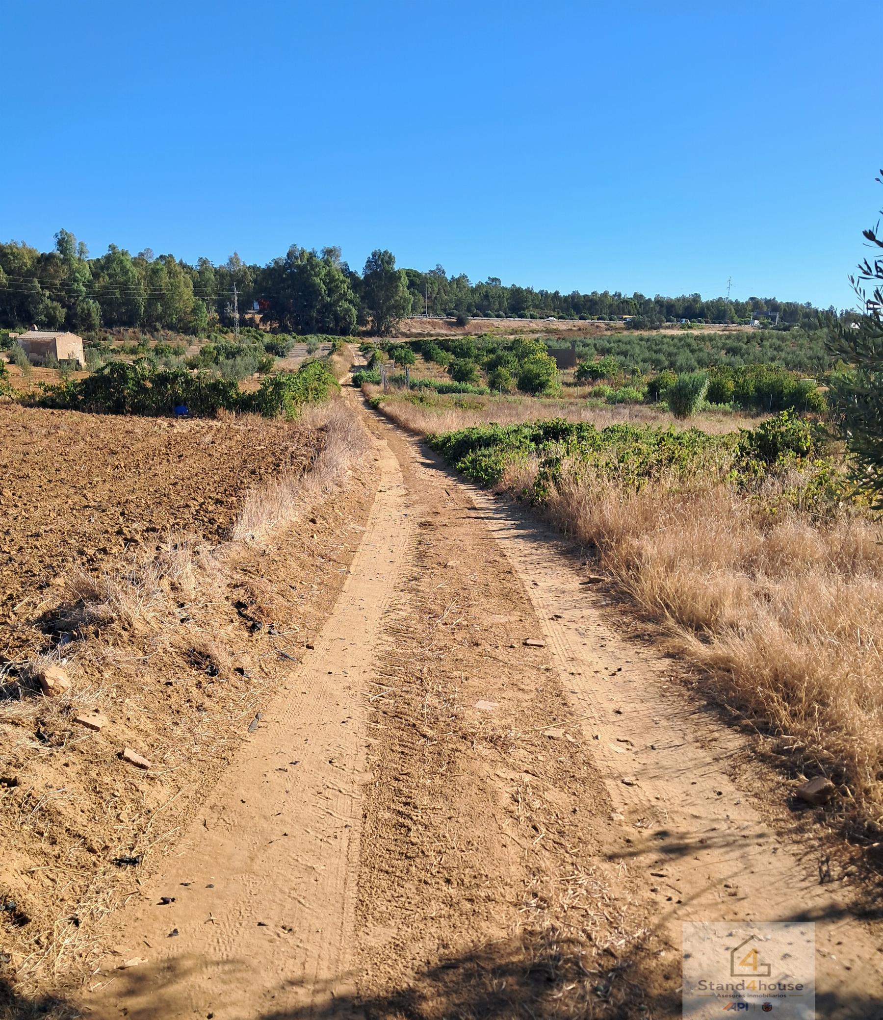 Terreno