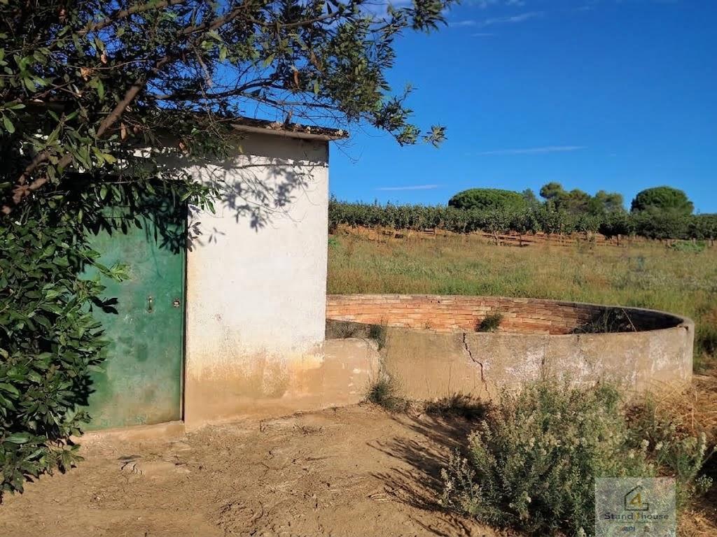 Terreno