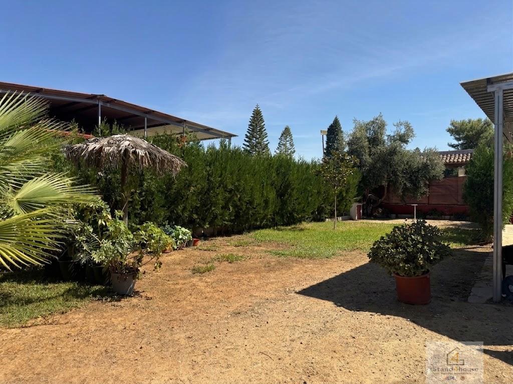 Jardín