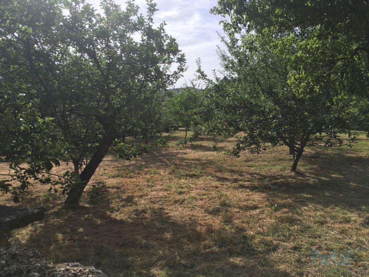 For sale of land in Burgos