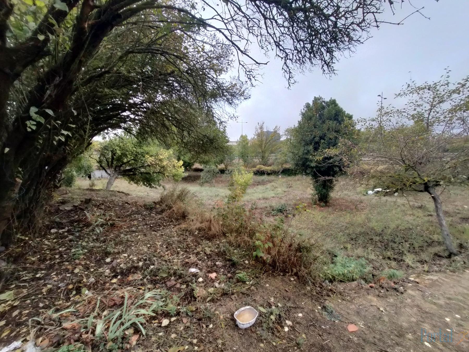 For sale of house in Burgos