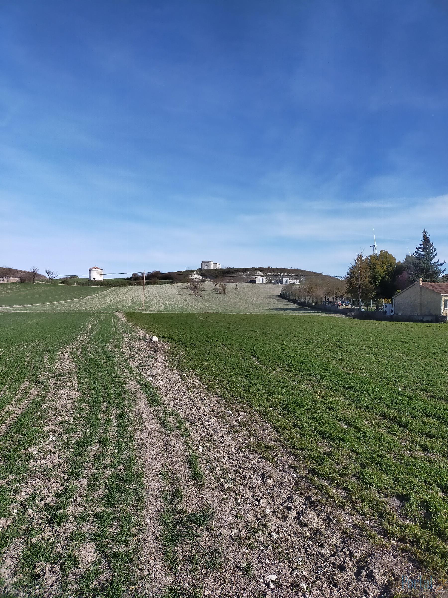 Ground