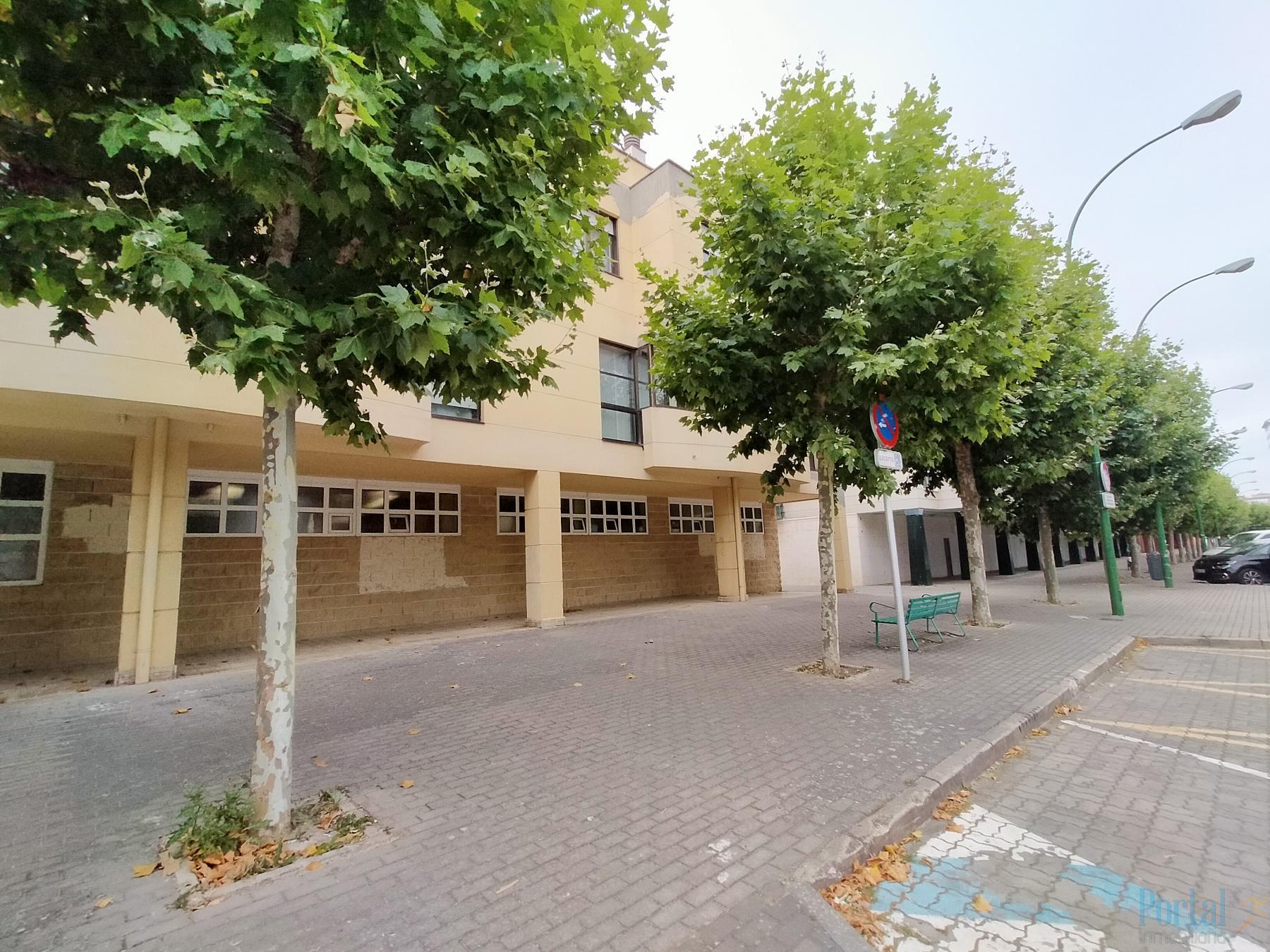 For rent of flat in Burgos