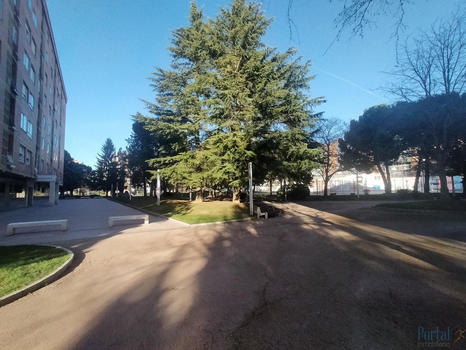 For sale of commercial in Burgos
