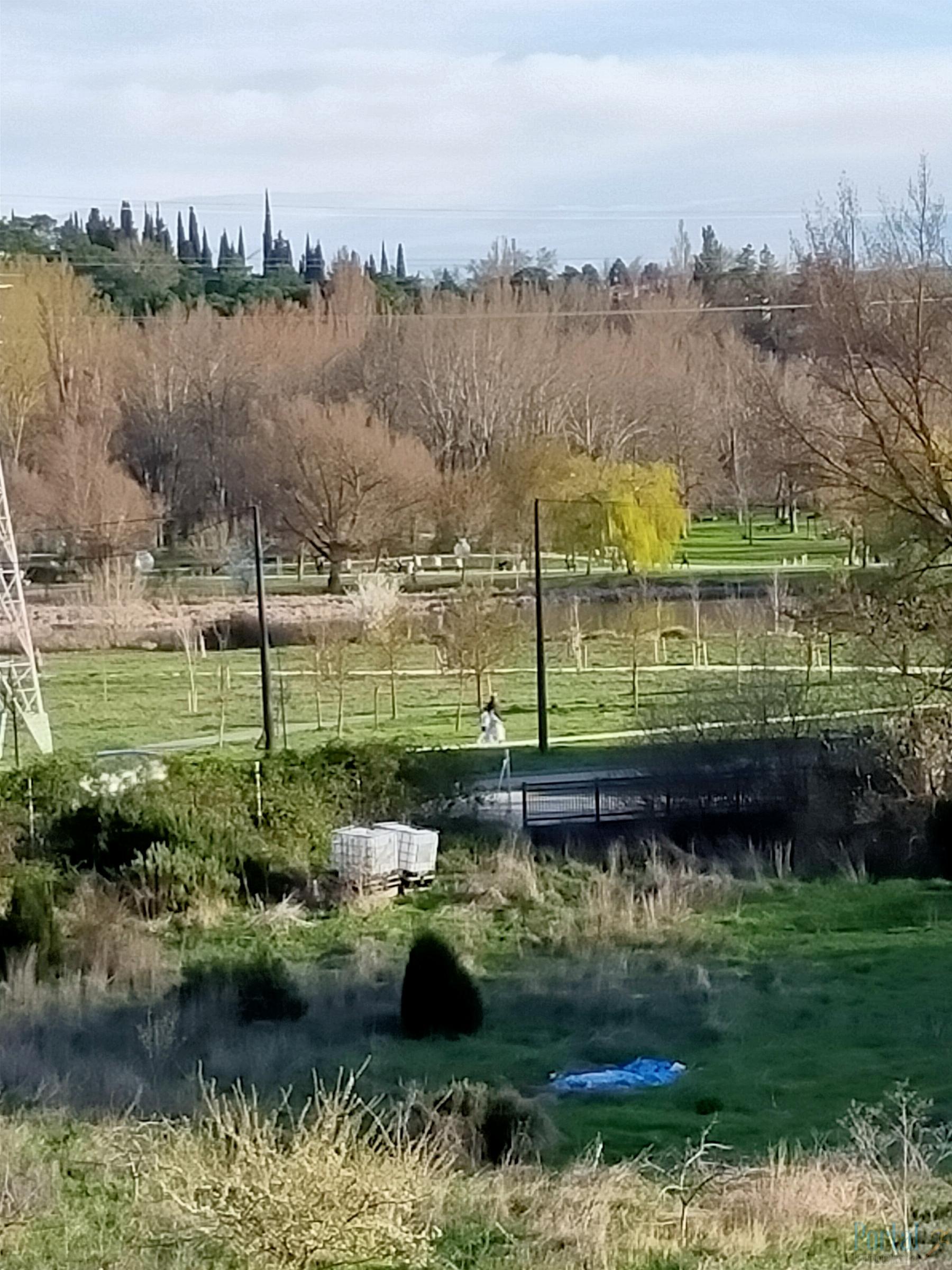 Vistas