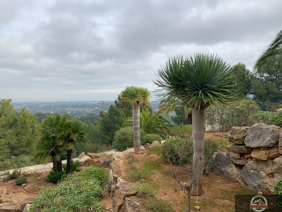 For sale of apartment in Pedreguer