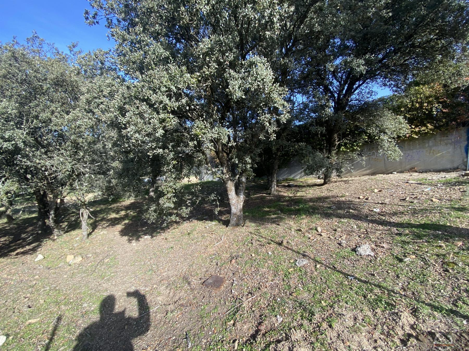 For sale of land in El Escorial