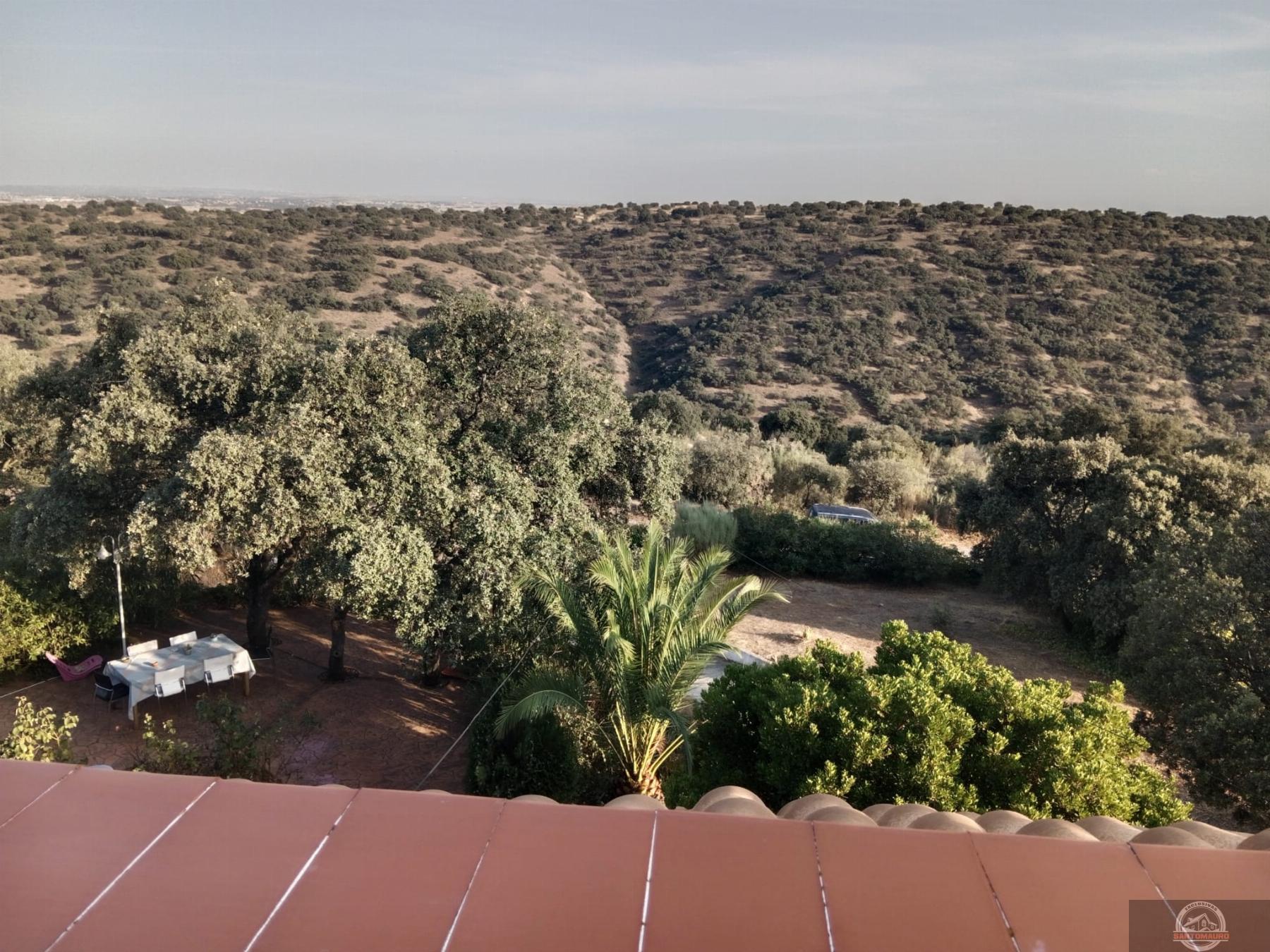 Vistas