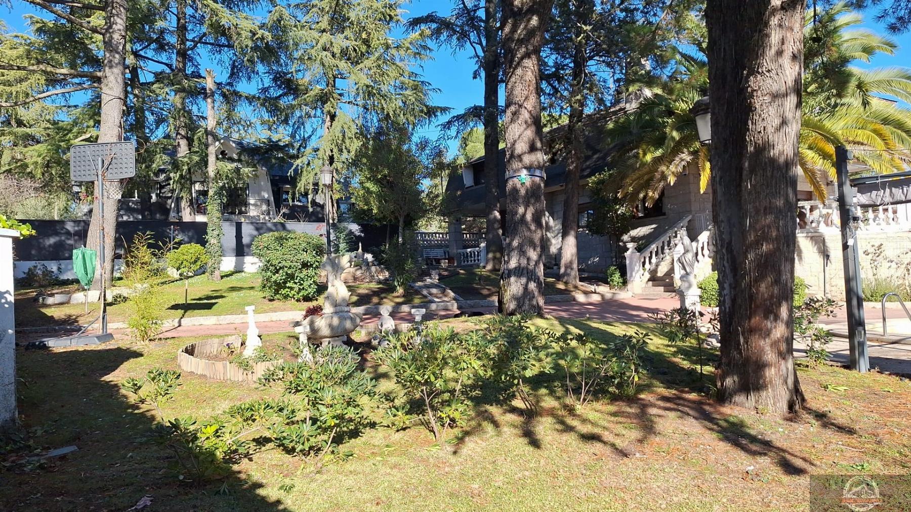 Jardín