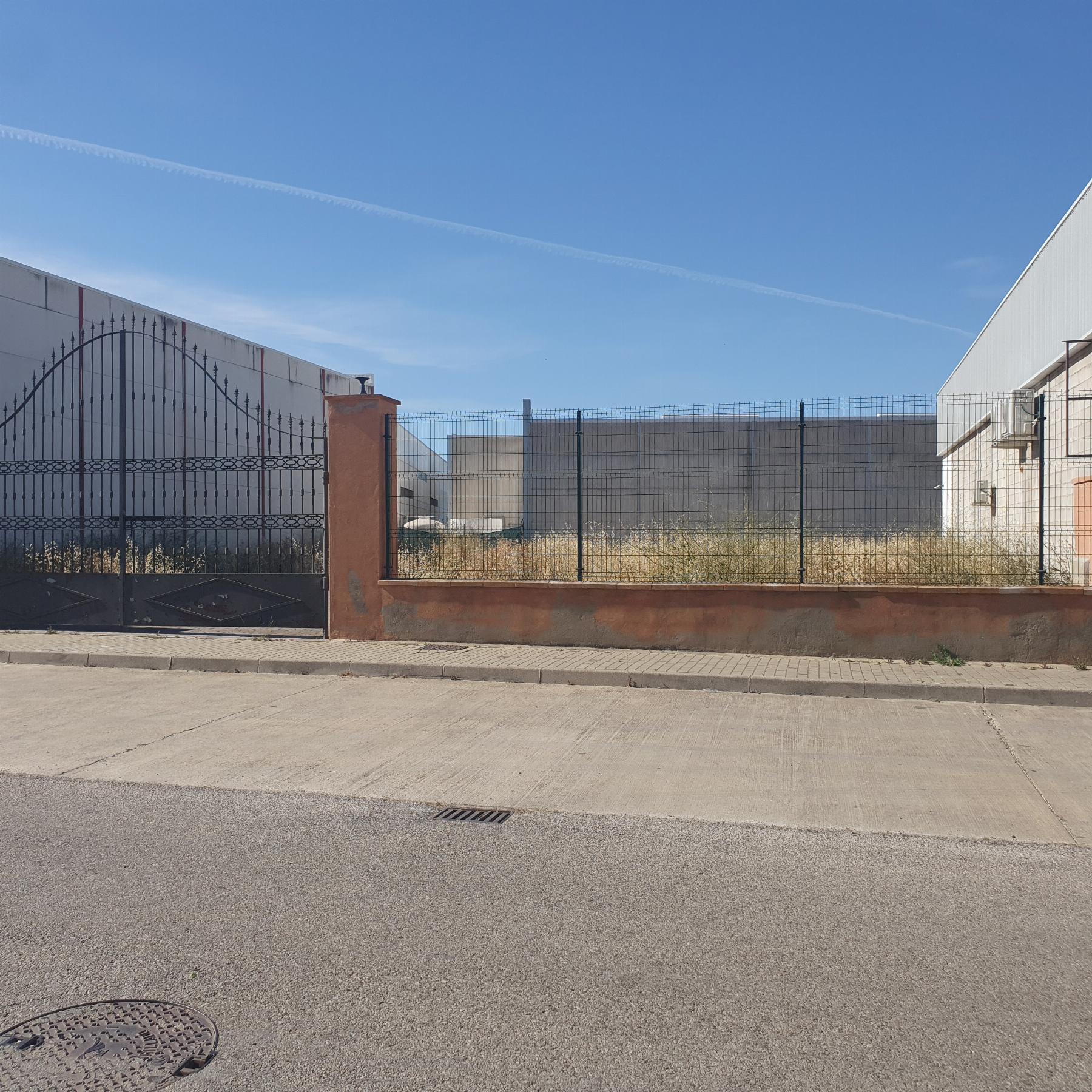 For rent of land in Jerez de la Frontera