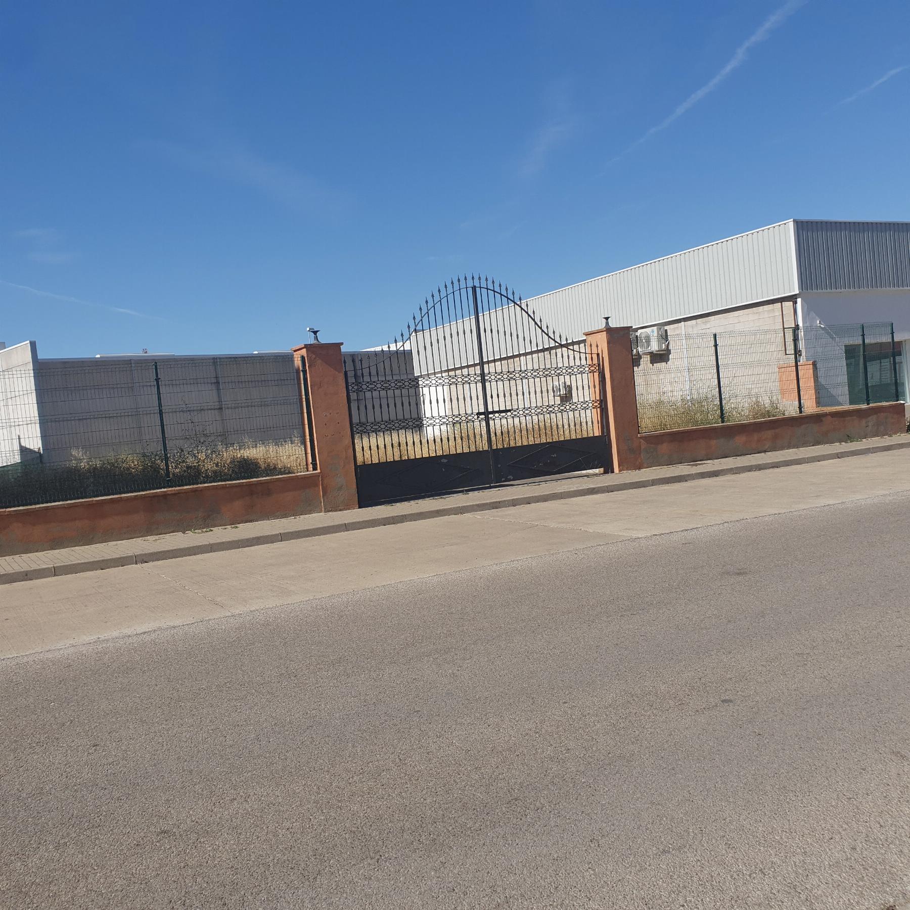 For rent of land in Jerez de la Frontera