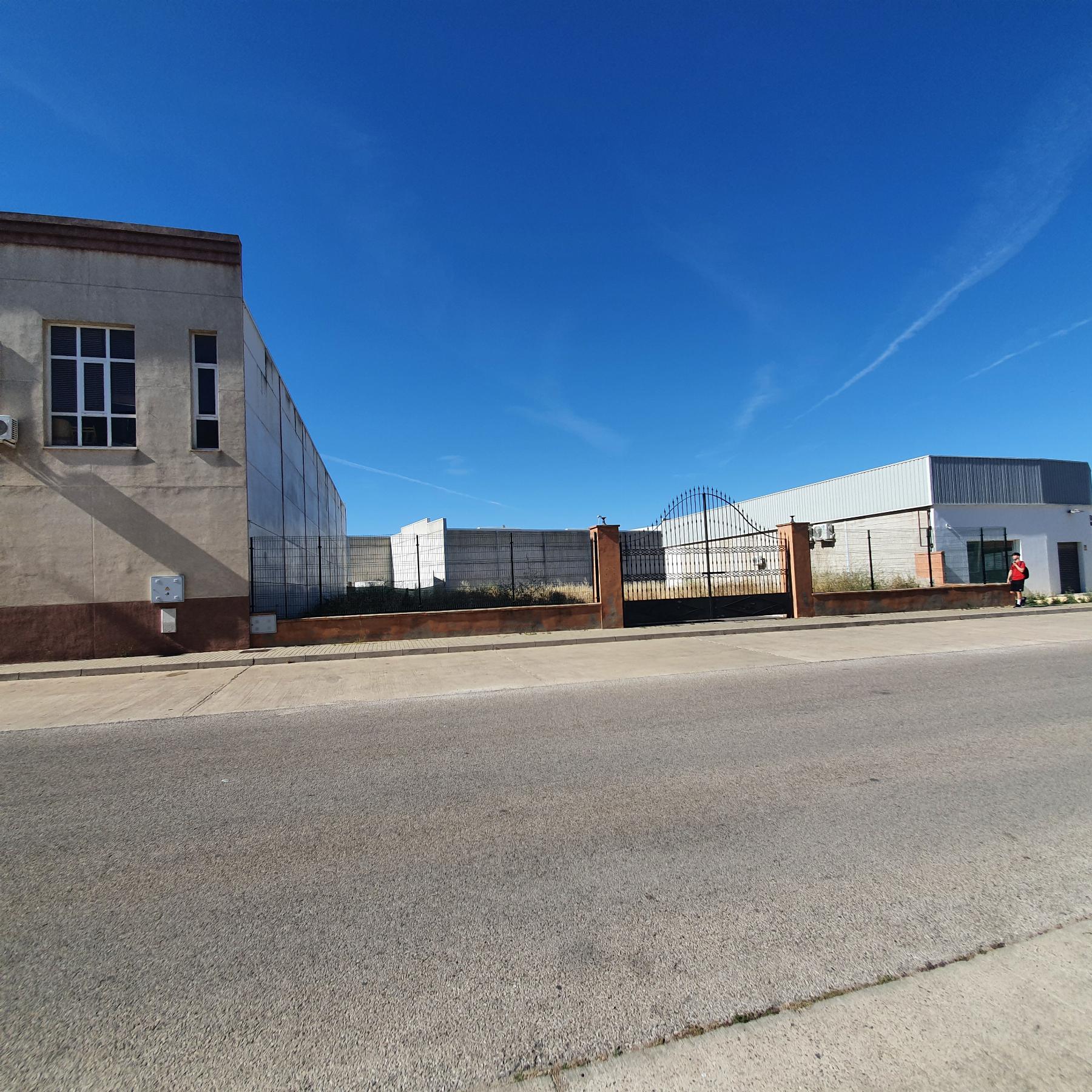 For rent of land in Jerez de la Frontera