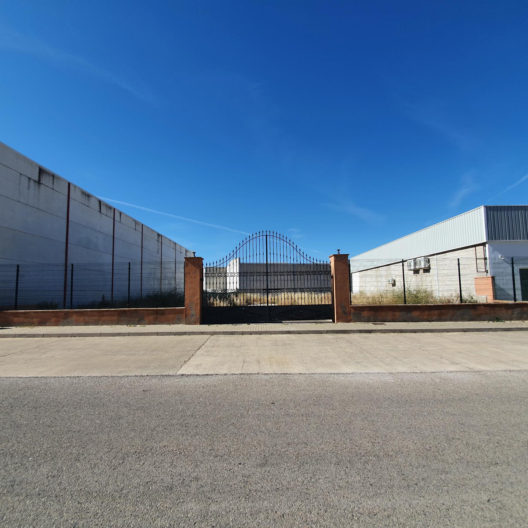 For rent of land in Jerez de la Frontera