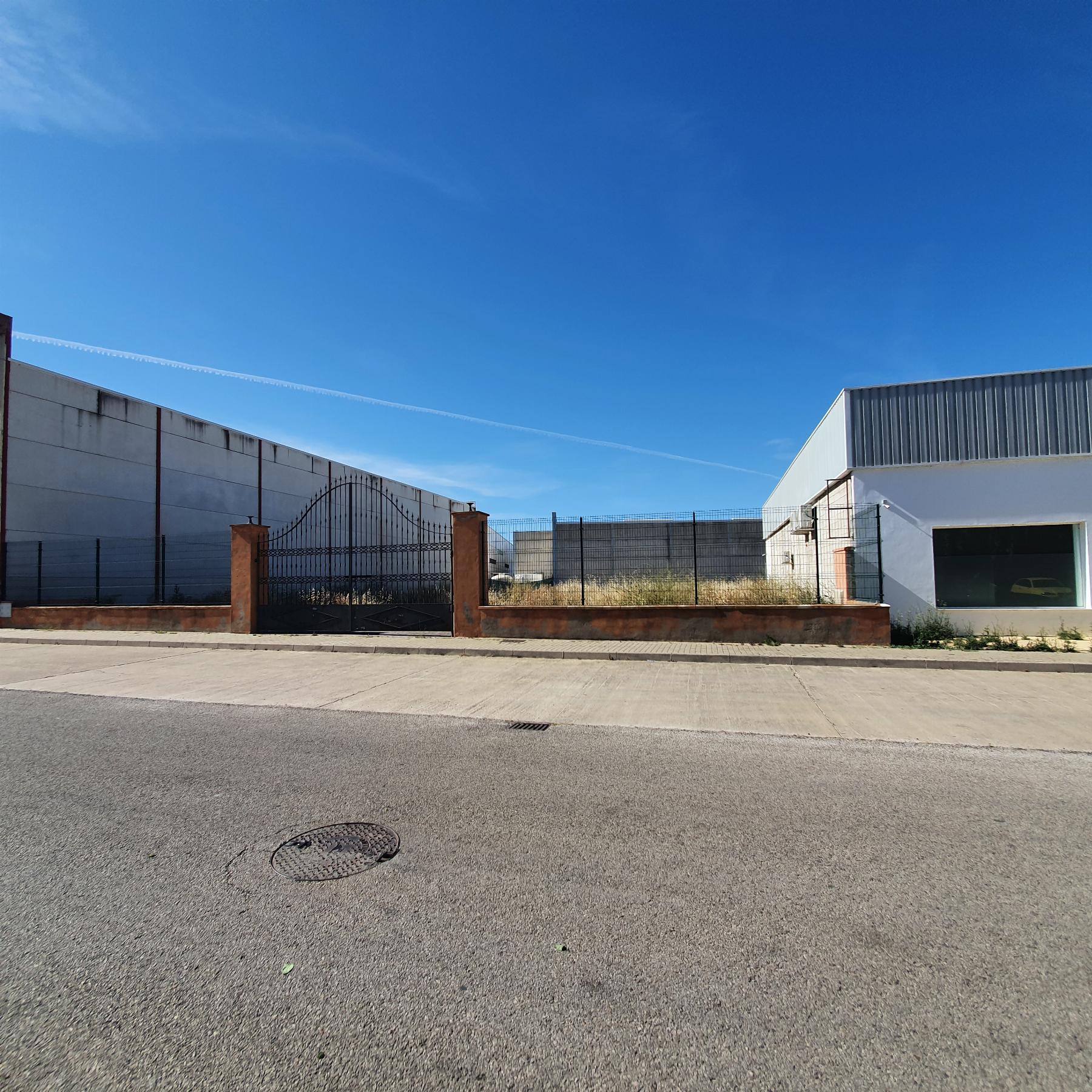 For rent of land in Jerez de la Frontera