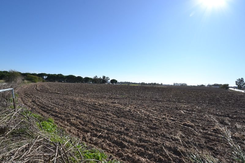 For sale of rural property in Jerez de la Frontera
